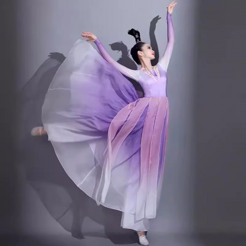Chinese folk Classical dance costumes Female purple gradient flowing fan dance dresses Chinese style Han Tang dance Big skirt art test
